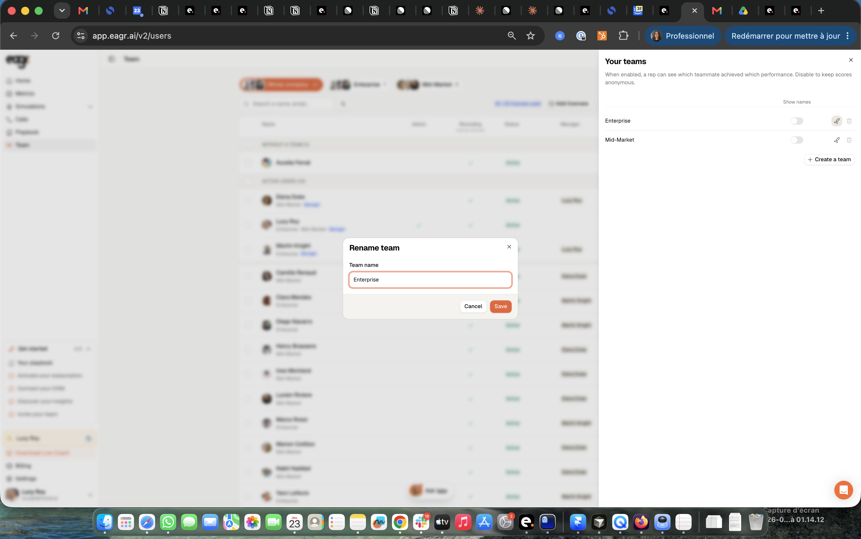 Screenshot: the rename window.